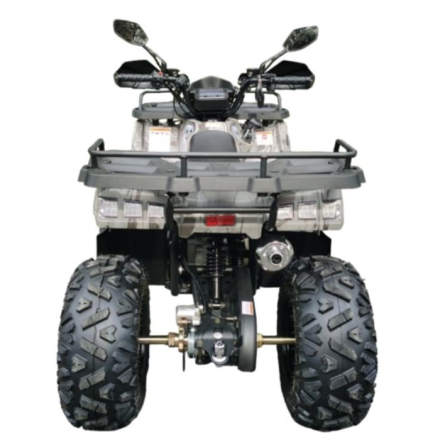 Квадроцикл GRIZLIK T200 LUX, фото 4