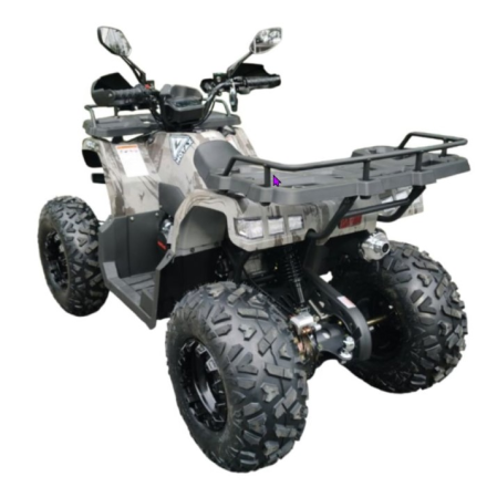 Квадроцикл GRIZLIK T200 LUX, фото 3