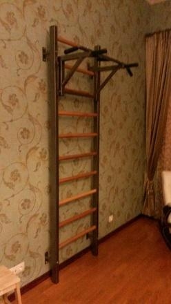 Шведская стенка комбинированная Гибрид-Т-Б-СПШ, фото 14