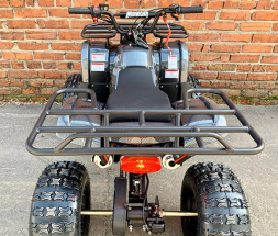 Квадроцикл MOWGLI Simple 8+, фото 7