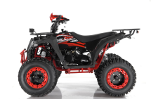 Квадроцикл WELS ATV Thunder 200 Evo X Квадроцикл WELS ATV Thunder 200 Evo X