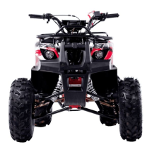 Квадроцикл WELS Thunder 125 Basic