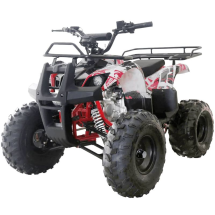 Квадроцикл WELS Thunder 125 Basic