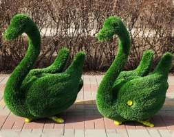 Топиари лебедь Авелин - газон Deluxe, фото 5