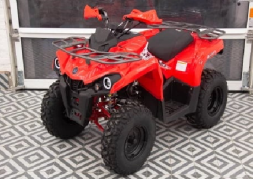 Квадроцикл MIKILON Hammer 200L Pro