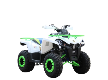 Квадроцикл ROVER 200L PRO Квадроцикл ROVER 200L PRO