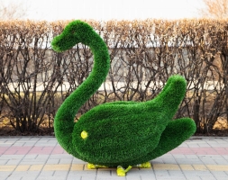 Топиари два лебедя Авелин - газон Deluxe, фото 4