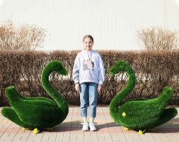 Топиари два лебедя Авелин - газон Deluxe, фото 3