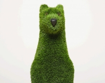 Топиари собака, Пушнин - газон Eco Топиари собака, Пушнин - газон Eco