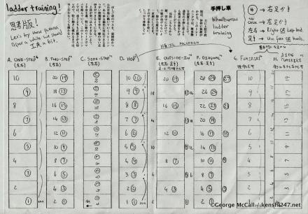 Скоростная лестница "SL Jr. 10" 4м. ФЛА., фото 9