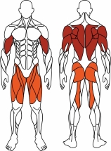 Жим ногами + жим от груди (красный) - Уличный тренажер - СТ 037-11