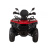Квадроцикл Bizon YK250 Lux EFI