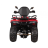 Квадроцикл Bizon YK250 Lux EFI