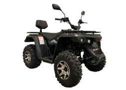 Квадроцикл LINHAI-YAMAHA M170, фото 7