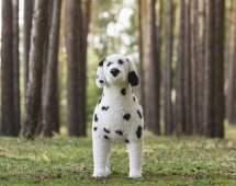 Топиари собака Далматинец - газон Eco Топиари собака Далматинец - газон Eco