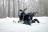 Снегоцикл TIGER Universal 150