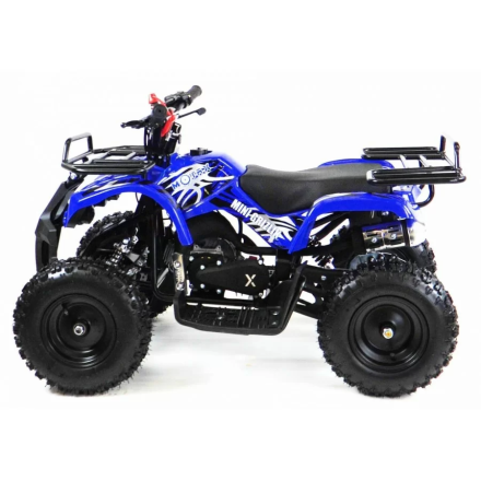 Квадроцикл MOTAX ATV Mini Grizlik X-16 (м/с) Big Wheel, фото 22