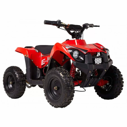 Квадроцикл WELS E.King, фото 2