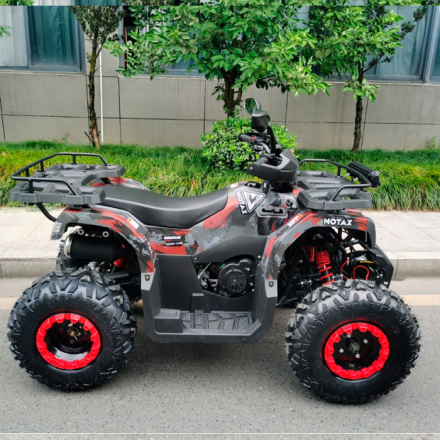 Квадроцикл Motax ATV Grizlik T 200 LUX, фото 4
