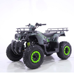 Квадроцикл Motax ATV Grizlik T 200 LUX, фото 1