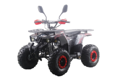 Квадроцикл MOTAX ATV Grizlik Premium 125cc, фото 18