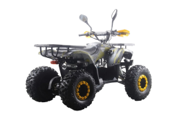 Квадроцикл MOTAX ATV Grizlik Premium 125cc, фото 11