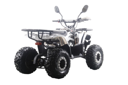 Квадроцикл MOTAX ATV Grizlik Premium 125cc, фото 7