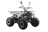 Квадроцикл MOTAX ATV Grizlik Premium 125cc