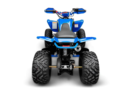 Квадроцикл RACER Typhoon 250, фото 5