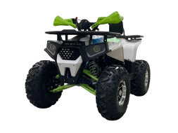 Квадроцикл GLADIATOR G125 Premium, фото 1 Квадроцикл GLADIATOR G125 Premium, фото 1