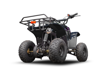 Квадроцикл RAPTOR 150 Universal, фото 6