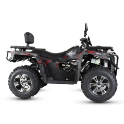 Квадроцикл MOTAX Grizlik 300 cc, фото 2