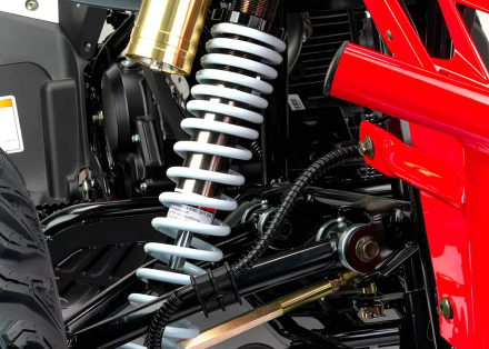 Квадроцикл MOTOLAND RALLY 250, фото 6