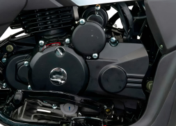 Квадроцикл MOTOLAND RALLY 250, фото 5