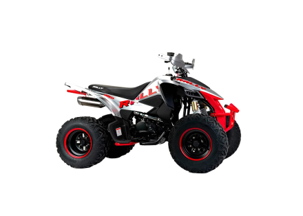 Квадроцикл MOTOLAND RALLY 250, фото 4