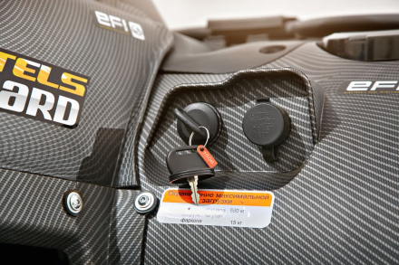 Квадроцикл СТЕЛС ATV 650 YS Leopard EFI (ПСМ), фото 14