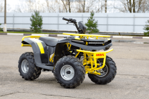 Квадроцикл IRBIS ATV 125 Квадроцикл IRBIS ATV 125