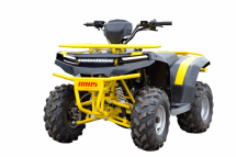 Квадроцикл IRBIS ATV 125 Квадроцикл IRBIS ATV 125