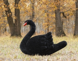 Топиари лебедь черный Блэк - газон Eco, фото 1