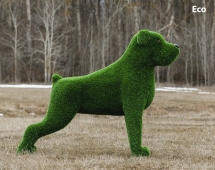 Топиари собака Баскервиль - газон Premium Топиари собака Баскервиль - газон Premium