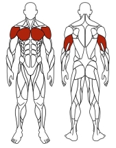 Жим от груди (серый) - Уличный тренажер - СТ 006-13.И1