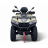 Квадроцикл Bizon YK450AL EPS