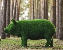 Топиари свинка Мама - газон Eco