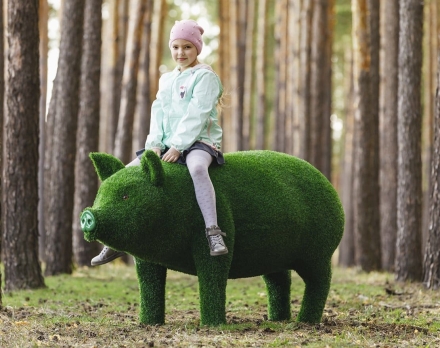 Топиари свинка Мама - газон Eco, фото 4
