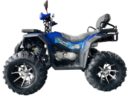 Квадроцикл MOTOLAND 300 Wild Track LUX, фото 2 Квадроцикл MOTOLAND 300 Wild Track LUX, фото 2