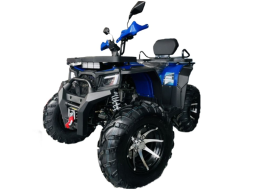 Квадроцикл MOTOLAND 300 Wild Track LUX, фото 1 Квадроцикл MOTOLAND 300 Wild Track LUX, фото 1