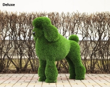 Топиари собака Пудель - газон Premium Топиари собака Пудель - газон Premium