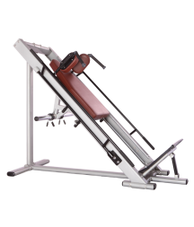 BRONZE GYM H-022A_C Гак-машина