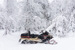 Снегоход AODES Snowcross 1000 WT, фото 13