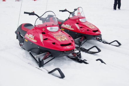 Снегоход РУССКАЯ МЕХАНИКА ТАЙГА Рысь Детский, фото 6